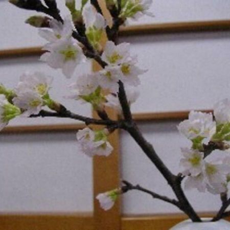Wakaba Ryokan / Vacation Stay 29362 酒田市 エクステリア 写真